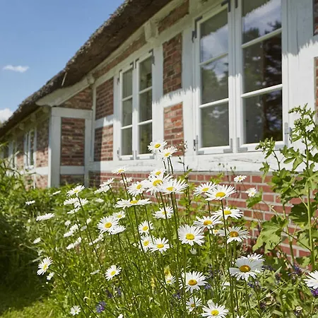 Wunderhaus Appartement